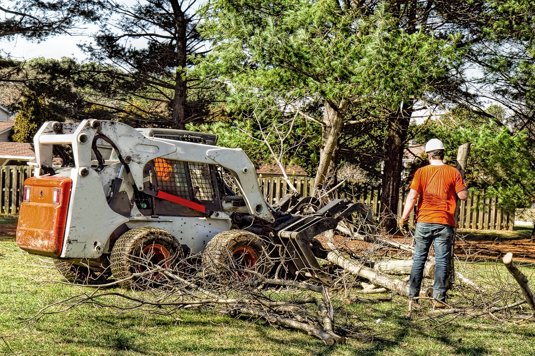 Top-rated tree removal in Abilene TX – our team ensures safe and thorough service.